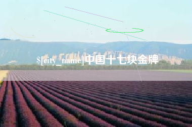 江山中国十七块金牌