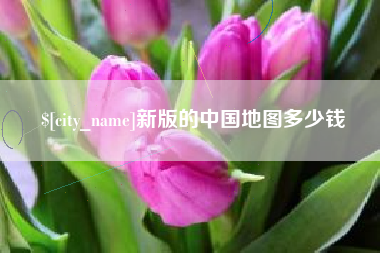 江山新版的中国地图多少钱