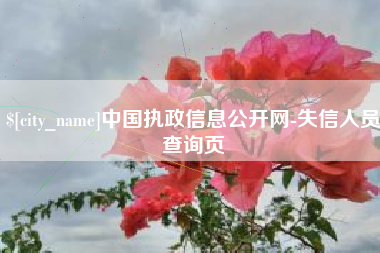 江山中国执政信息公开网-失信人员查询页