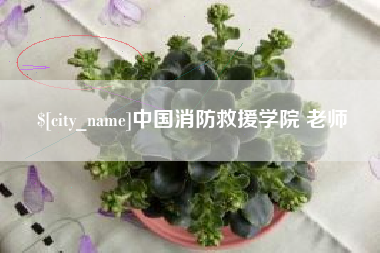 江山中国消防救援学院 老师