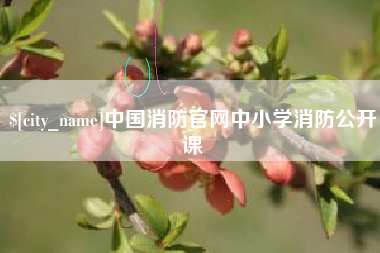江山中国消防官网中小学消防公开课