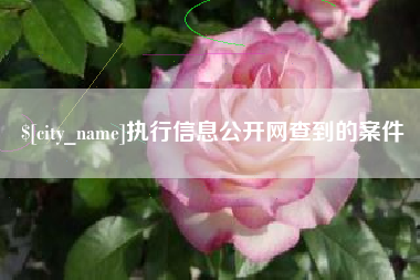 江山执行信息公开网查到的案件