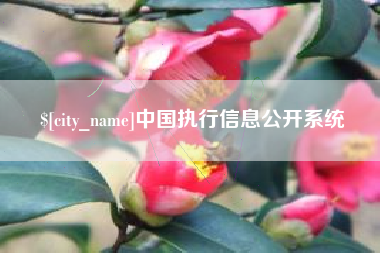 江山中国执行信息公开系统