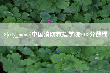江山中国消防救援学院2018分数线
