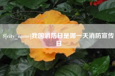 江山我国消防日是哪一天消防宣传日