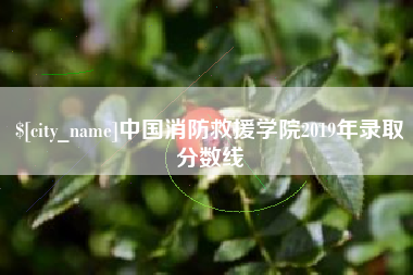江山中国消防救援学院2019年录取分数线