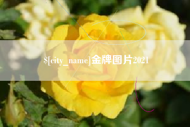 江山金牌图片2021