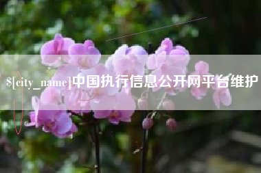 江山中国执行信息公开网平台维护