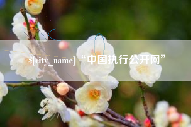 江山“中国执行公开网”