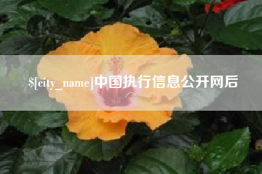 江山中国执行信息公开网后