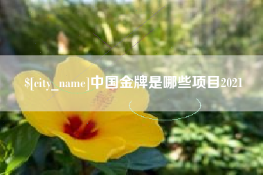江山中国金牌是哪些项目2021