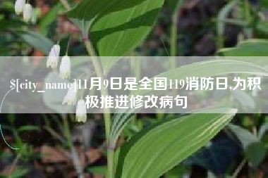 江山11月9日是全国119消防日,为积极推进修改病句