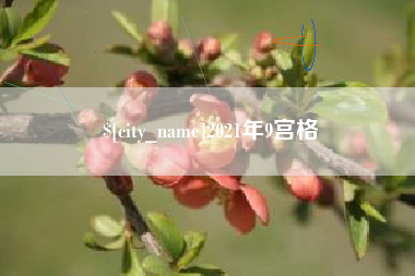 江山2021年9宫格
