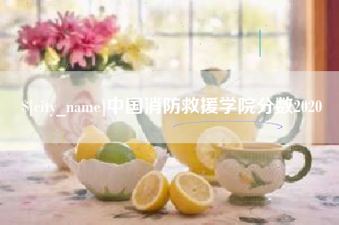 江山中国消防救援学院分数2020