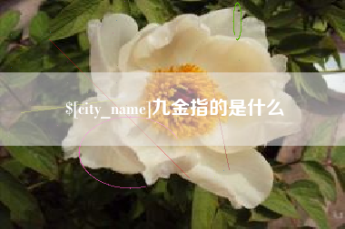 江山九金指的是什么