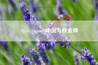 江山中国九枚金牌
