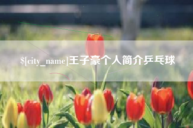 江山王子豪个人简介乒乓球