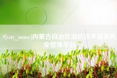 江山内蒙古自治区消防技术服务执业管理平台