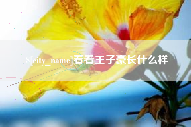江山看看王子豪长什么样