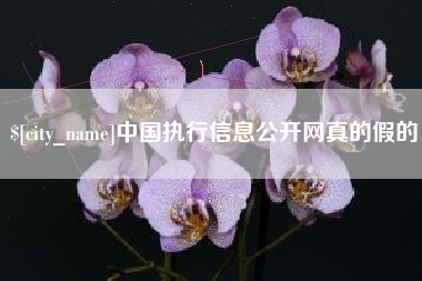 江山中国执行信息公开网真的假的