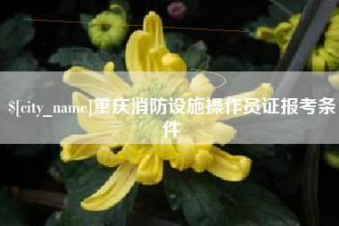 江山重庆消防设施操作员证报考条件