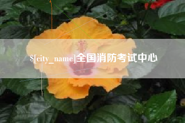 江山全国消防考试中心