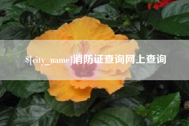 江山消防证查询网上查询