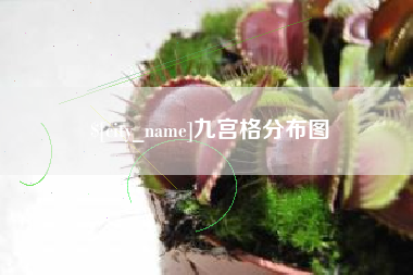 江山九宫格分布图