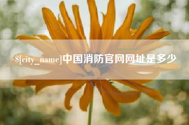 江山中国消防官网网址是多少