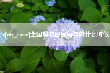 江山全国消防日是每年的什么时候