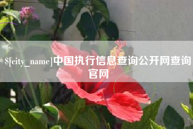 江山中国执行信息查询公开网查询官网