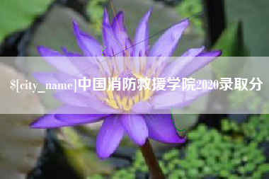 江山中国消防救援学院2020录取分