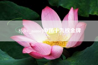 江山中国十九枚金牌
