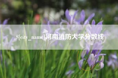 江山河南消防大学分数线