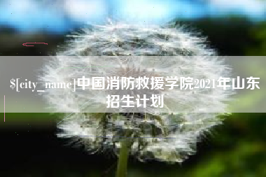 江山中国消防救援学院2021年山东招生计划