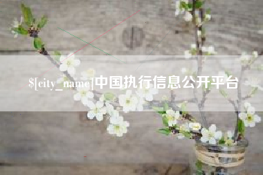 江山中国执行信息公开平台