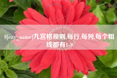 江山九宫格规则,每行,每列,每个粗线都有1-9