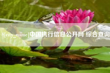 江山中国执行信息公开网 综合查询