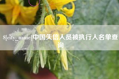 江山中国失信人员被执行人名单查询