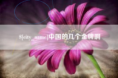 江山中国的几个金牌啊