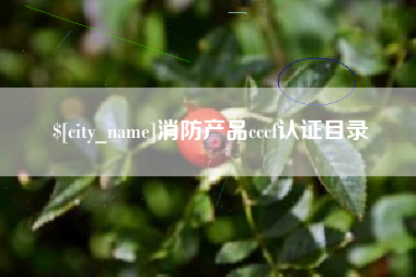 江山消防产品cccf认证目录