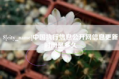 江山中国执行信息公开网信息更新时间是多久