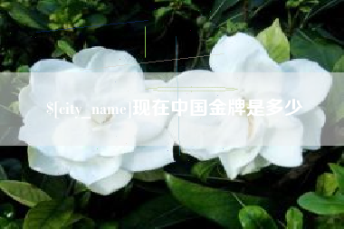江山现在中国金牌是多少