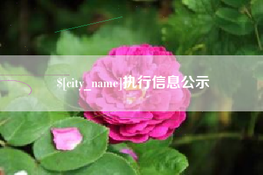 江山执行信息公示