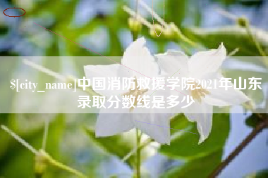 江山中国消防救援学院2021年山东录取分数线是多少