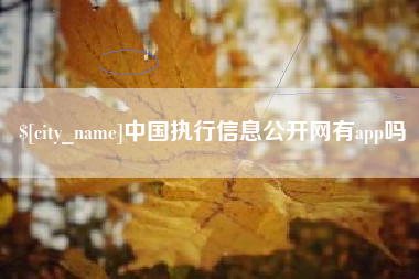 江山中国执行信息公开网有app吗