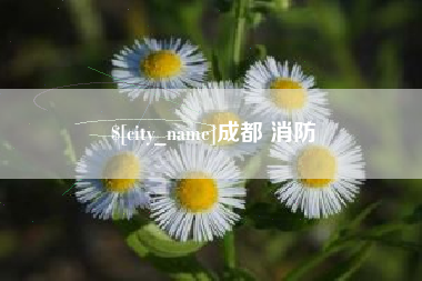 江山成都 消防
