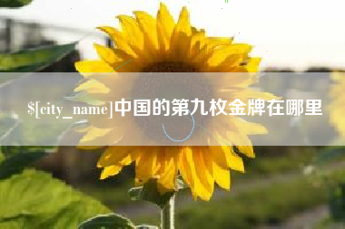江山中国的第九枚金牌在哪里