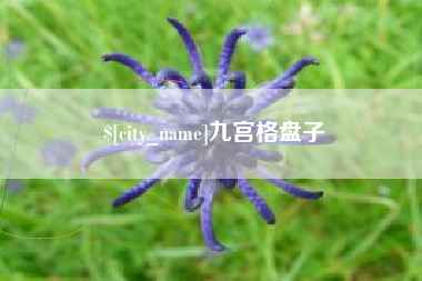 江山九宫格盘子