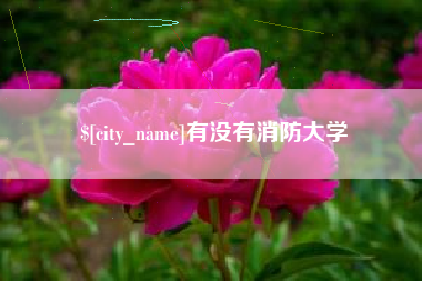 江山有没有消防大学